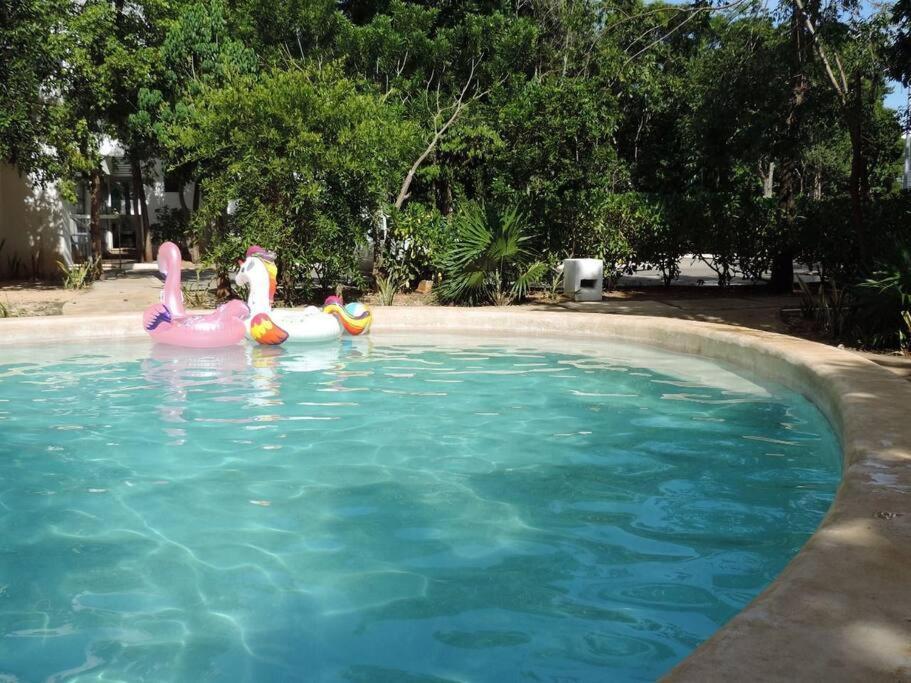 Departamento Residencial Con Alberca Cancún Eksteriør billede
